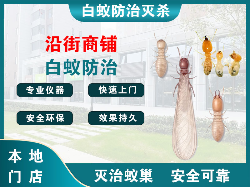 临平沿街商铺白蚁防治