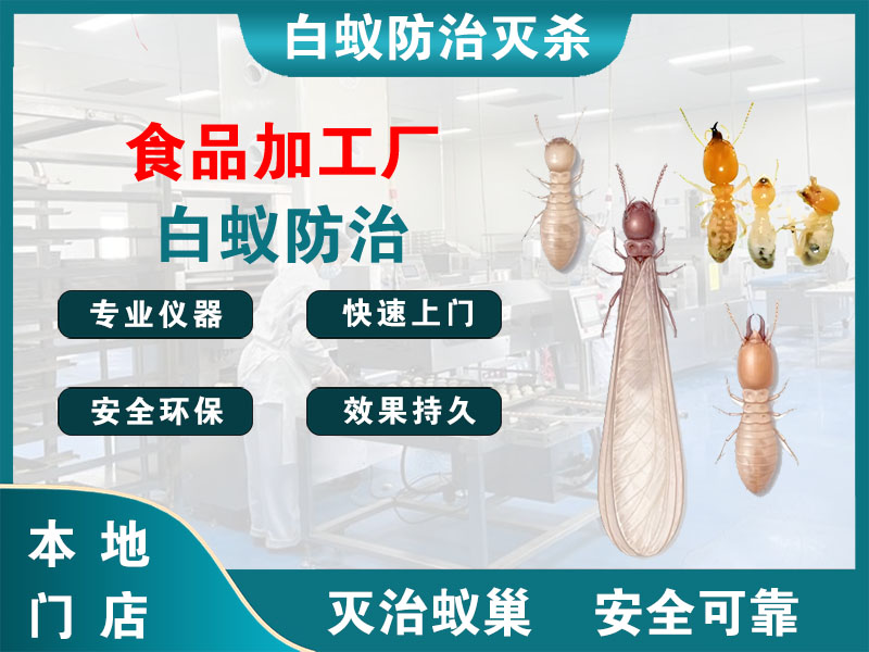 临平食品加工厂白蚁防治