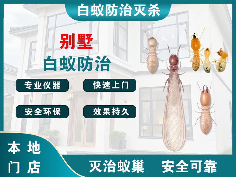 临平别墅白蚁防治
