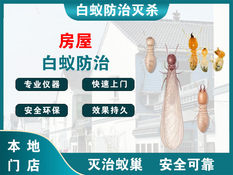 临平房屋白蚁防治